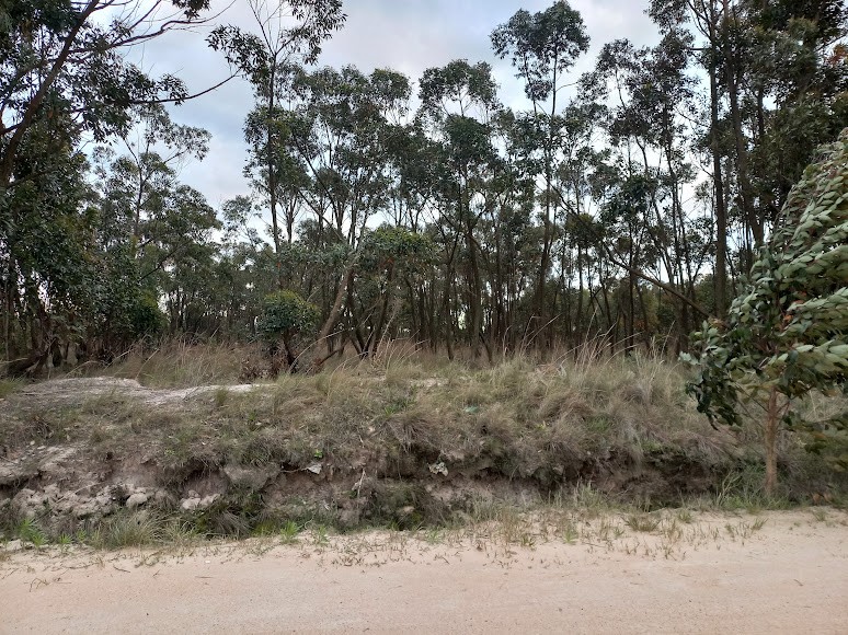 Terreno no Bairro Banhado Grande