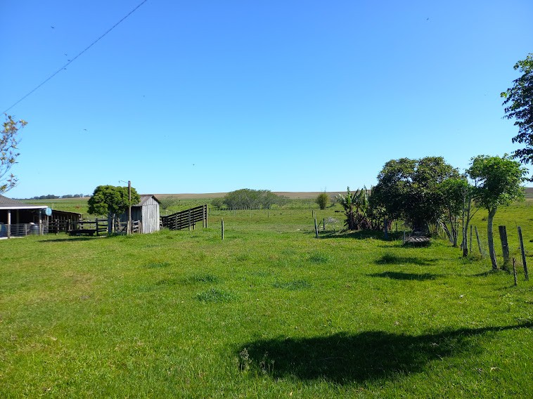 2 Hectares com Chalé na RS-265