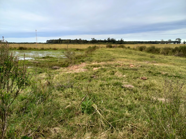 Terreno no Bairro Fiorame