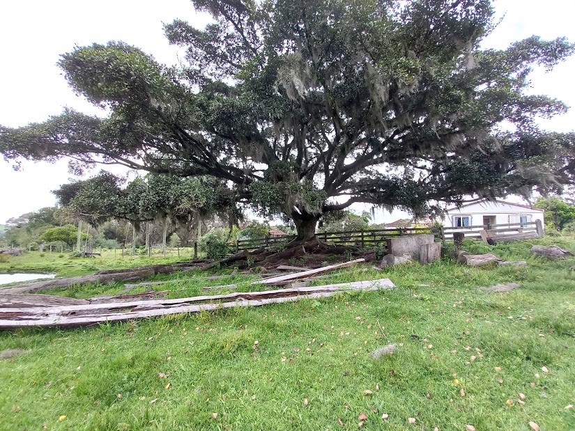 14 Hectares de Terras no Sítio