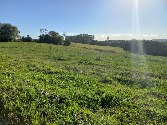 16,50 Hectares de Terras no Sítio