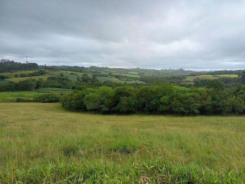 2 Hectares no Boqueirão