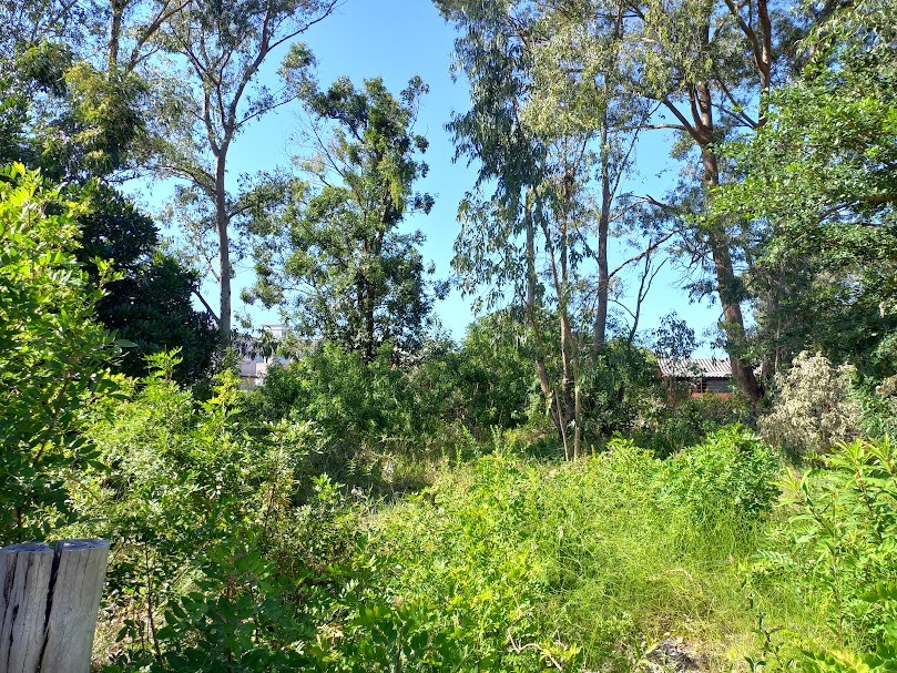 Terreno no Bairro Navegantes