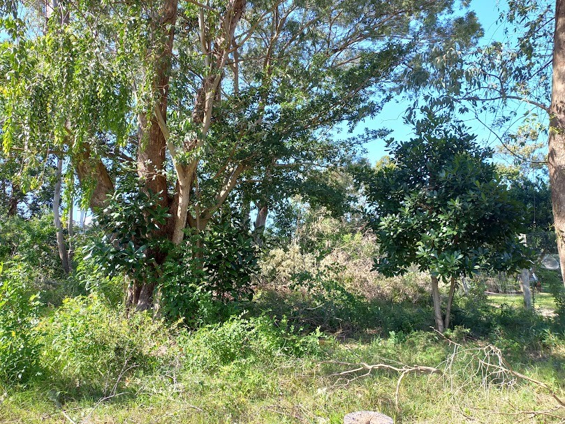 Terreno no Bairro Navegantes