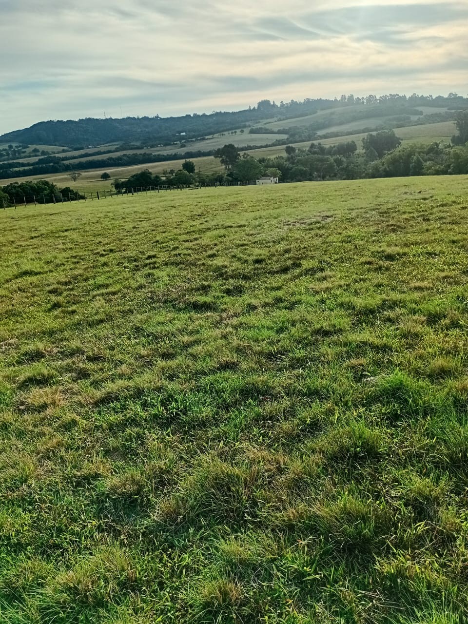4 Hectares no Espinilho
