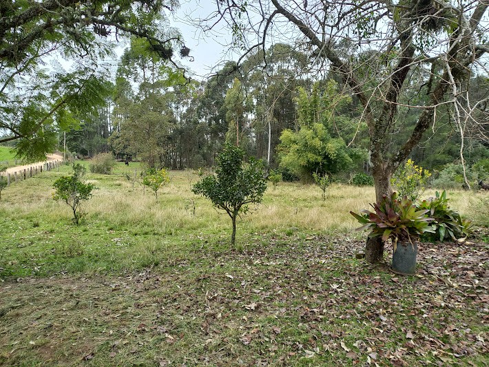 Propriedade Rural no Sítio