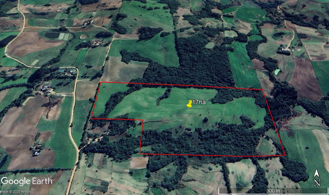 17 hectares na Coxilha Negra