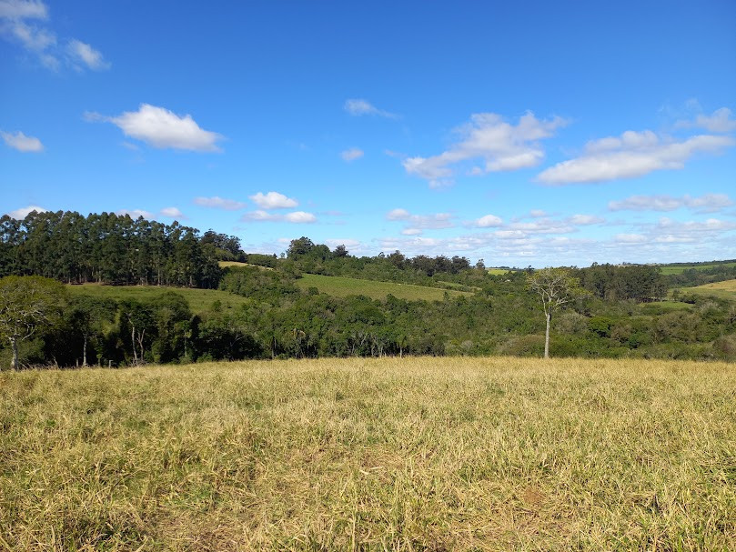 2 Hectares no Coqueiro