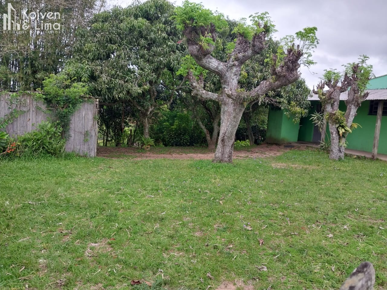 Imagem 1